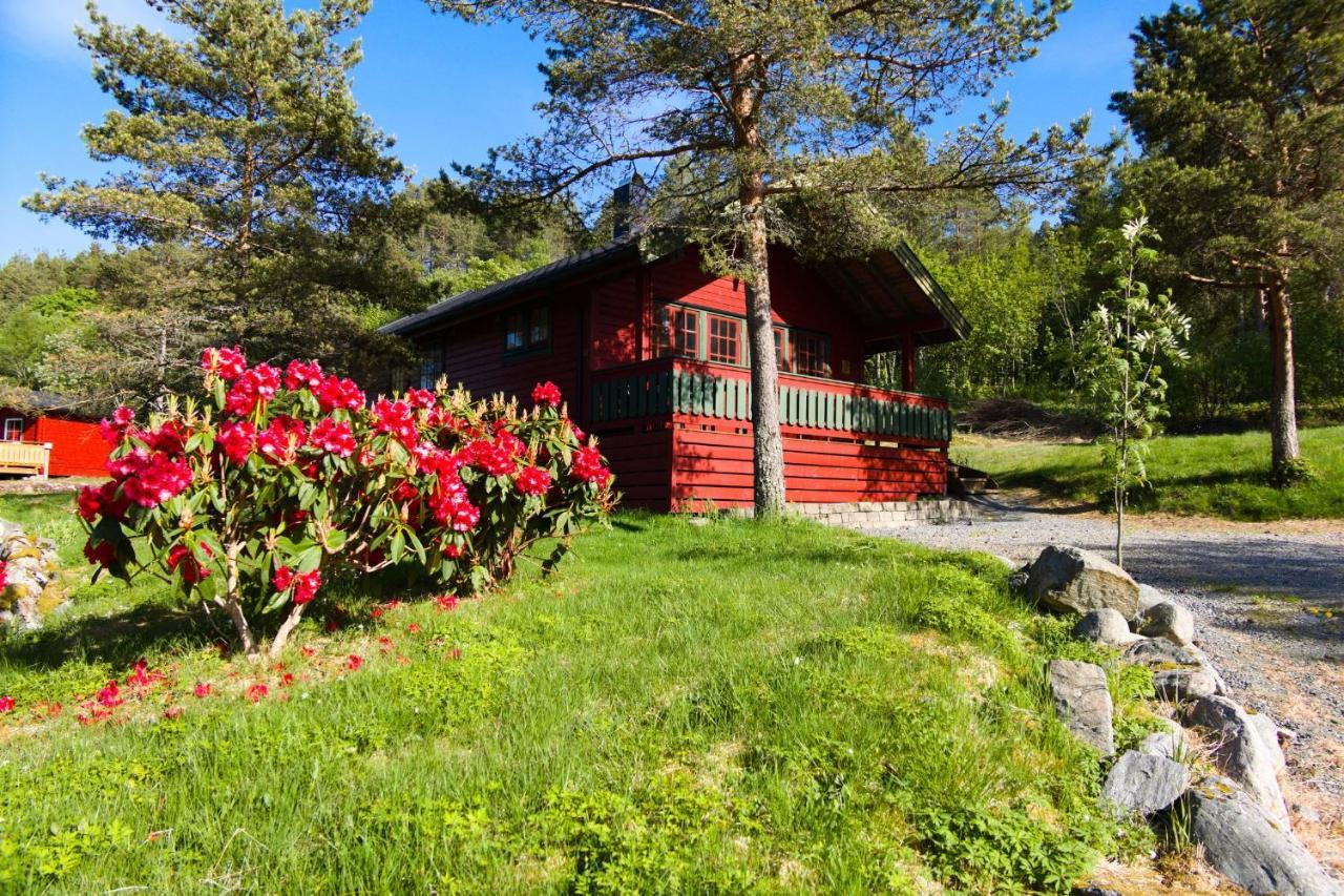 Sjoholt Camping Villa Exterior photo